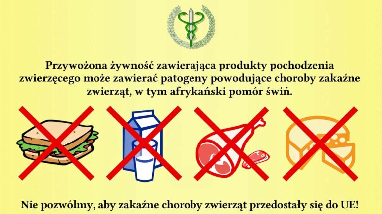 Какие лекарства нельзя перевозить через границу Польши