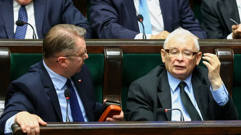 Чарнек запевняє: розбіжностей з Качинським щодо України немає