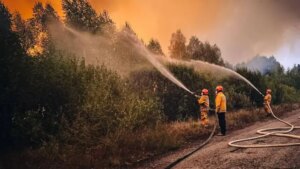 Рятувальники гасять лісову пожежу в Чорнобильській зоні відчуження