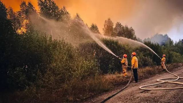 Рятувальники гасять лісову пожежу в Чорнобильській зоні відчуження