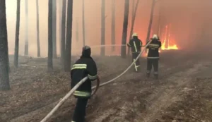 Рятувальники Житомирщини гасять лісову пожежу в Коростенському районі
