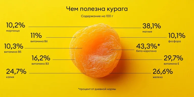 Курага користь і шкода: повний гід по властивостях